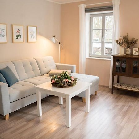 Apartament Urlaubsfreude Biedermann Haus Blumenglueck - Rose Sebnitz Zewnętrze zdjęcie